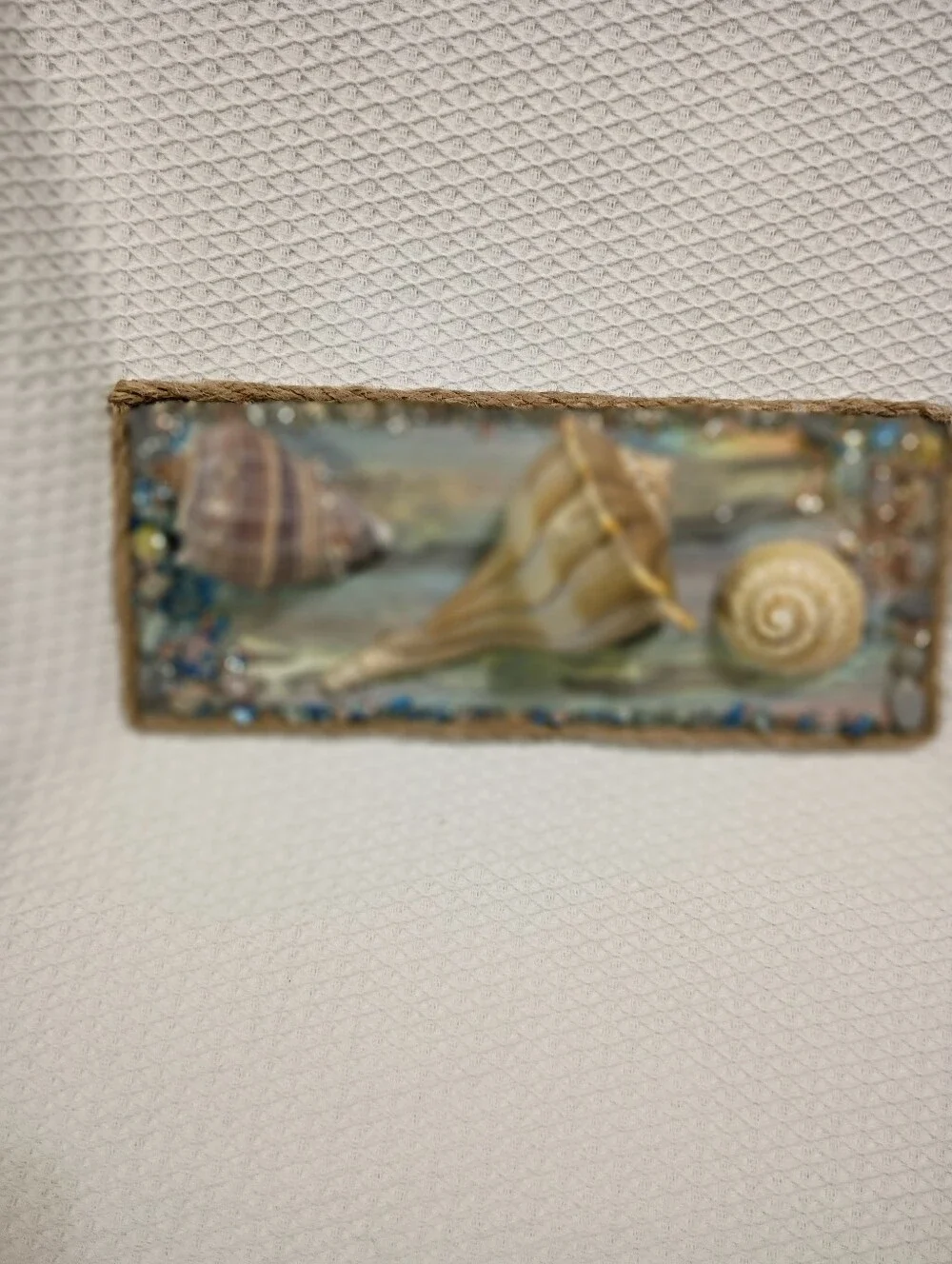 Coastal Seashell Wall Art Panel in Cream and Tan - Unbranded